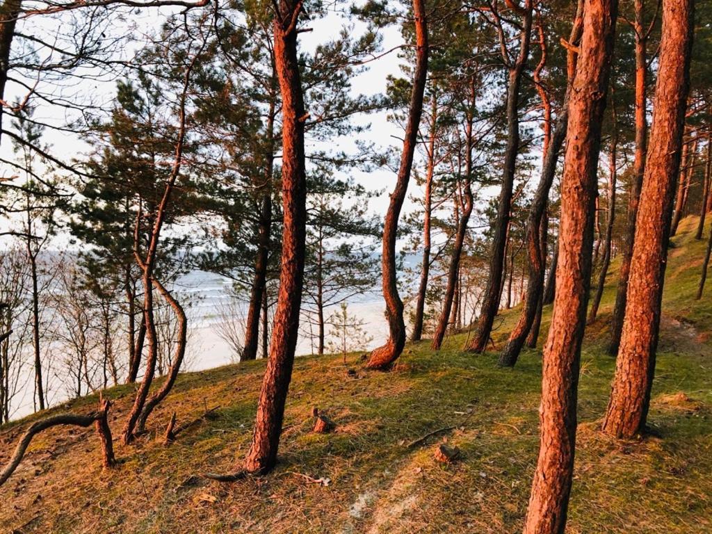 Domki Skowronki Kąty Rybackie Exterior foto